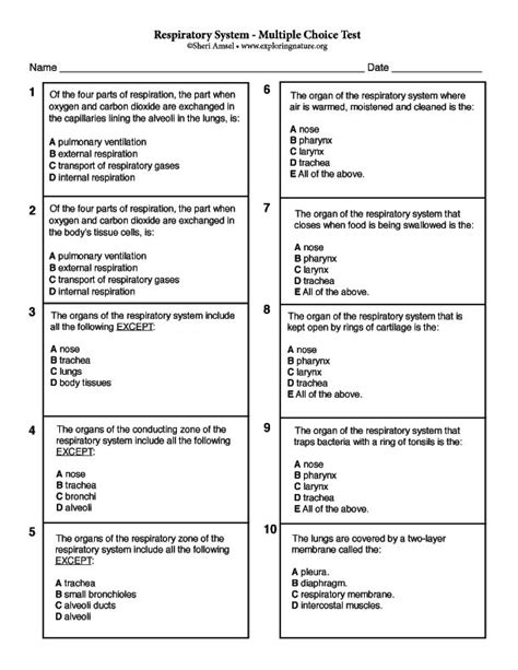1)Your body couldn't breathe without this <strong>system</strong>. . Respiratory system multiple choice questions and answers pdf